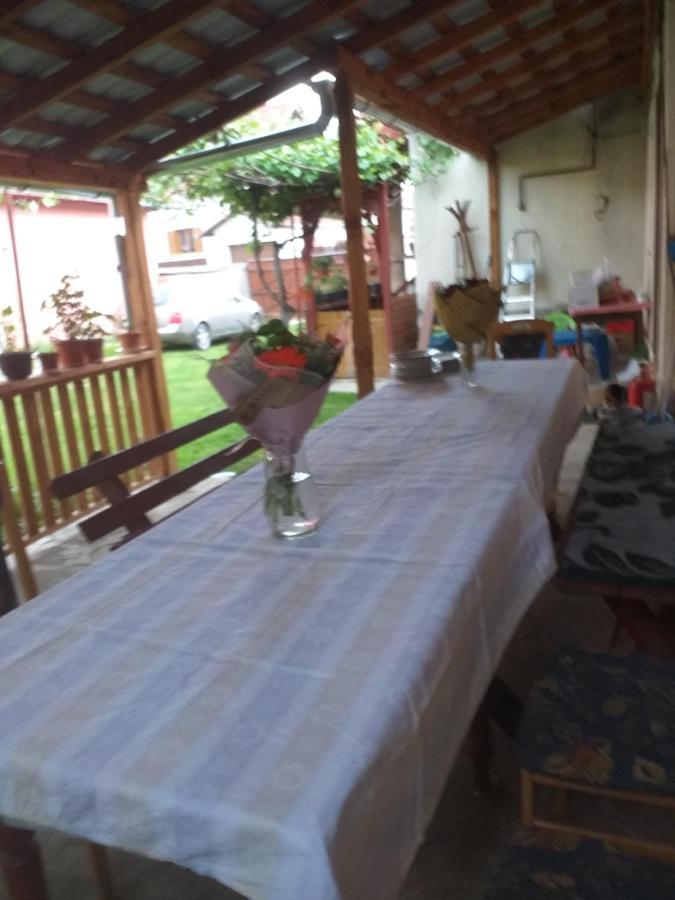הוילה Cîrţişoara Casa Argentina מראה חיצוני תמונה