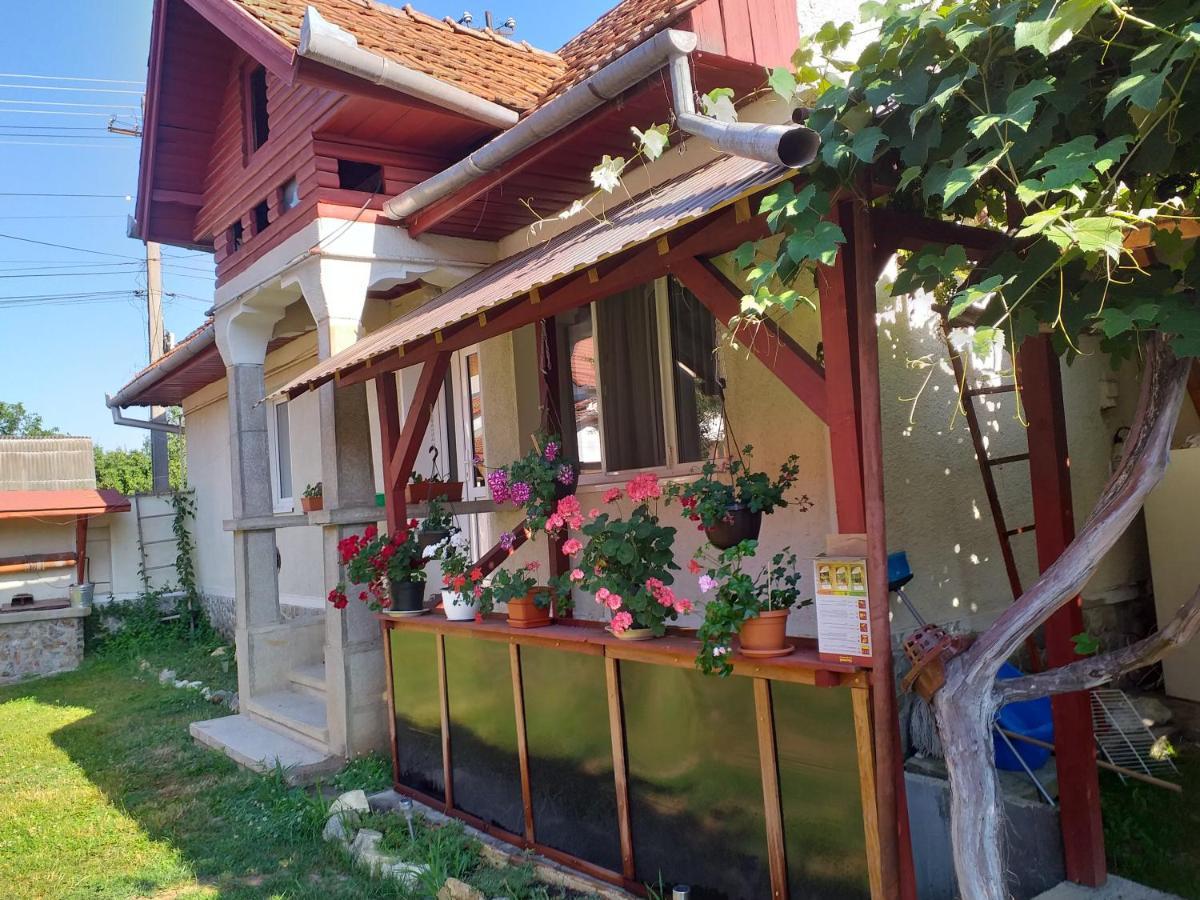 הוילה Cîrţişoara Casa Argentina מראה חיצוני תמונה