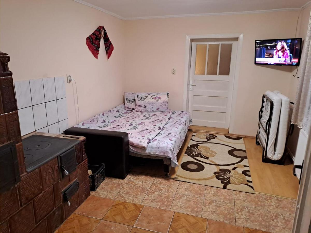 הוילה Cîrţişoara Casa Argentina מראה חיצוני תמונה