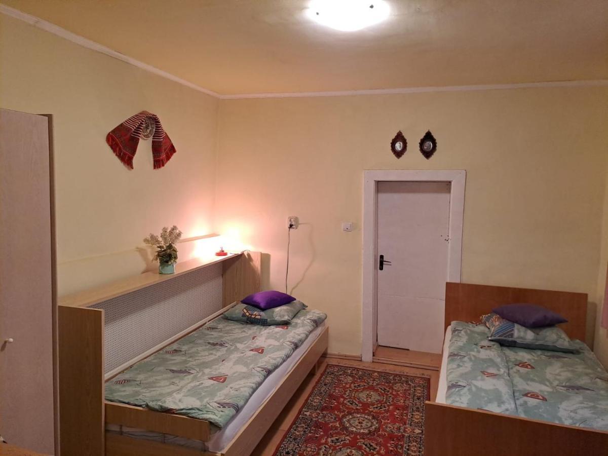הוילה Cîrţişoara Casa Argentina מראה חיצוני תמונה