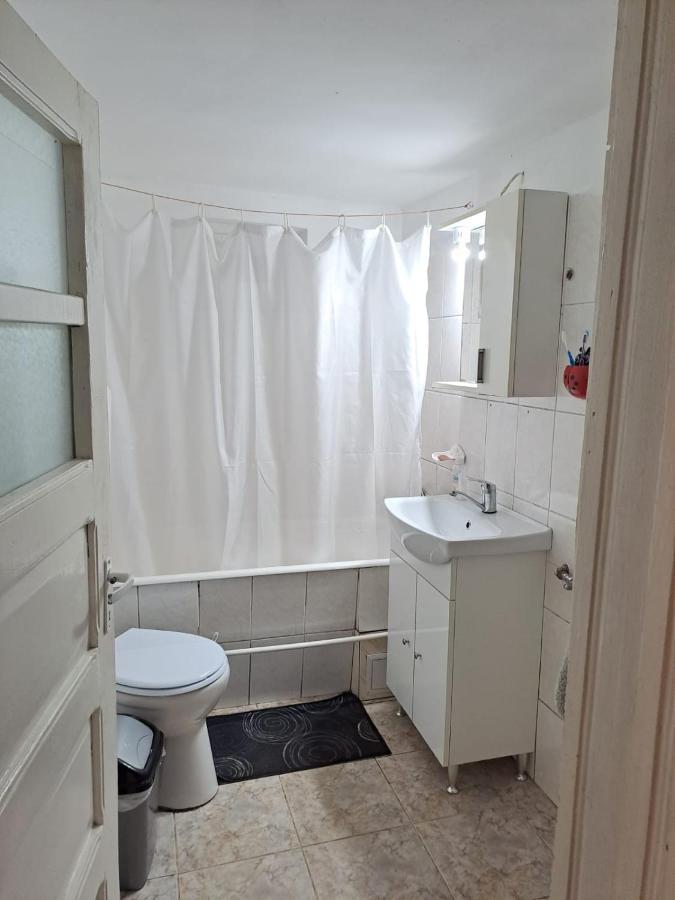 הוילה Cîrţişoara Casa Argentina מראה חיצוני תמונה