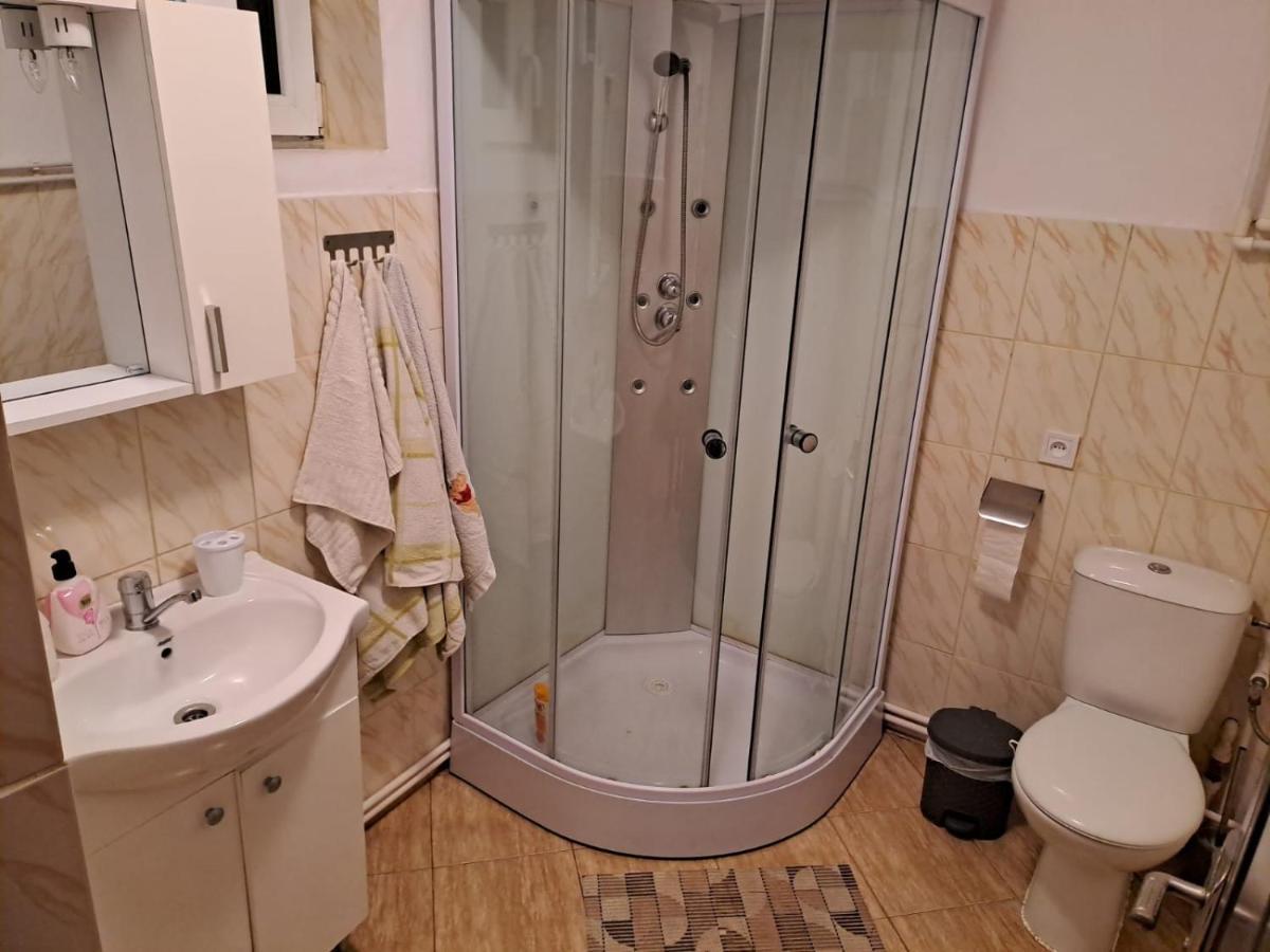 הוילה Cîrţişoara Casa Argentina מראה חיצוני תמונה