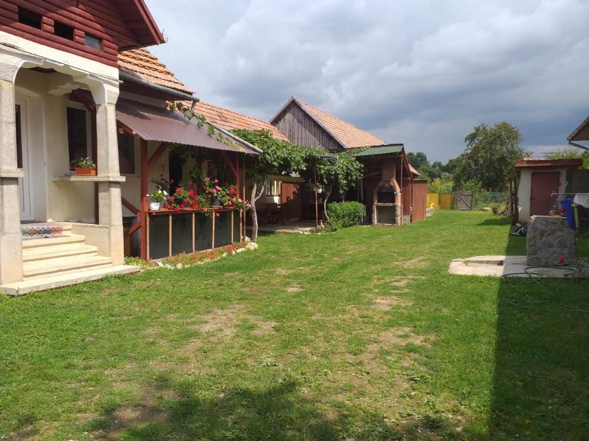 הוילה Cîrţişoara Casa Argentina מראה חיצוני תמונה